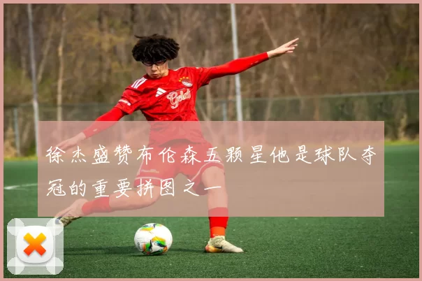 徐杰盛赞布伦森五颗星他是球队夺冠的重要拼图之一